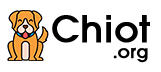 chiot.org